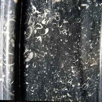 Harewood marble detail