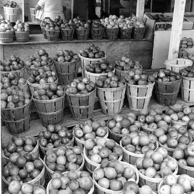 Wilt's Fruit Store, October 1985
