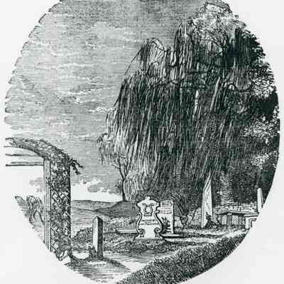 Grave of Philip Pendleton Cooke