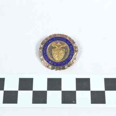 Gold pin circled in blue enamel