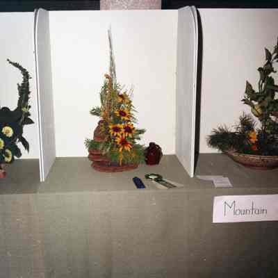 Jefferson County Fair photos 1973