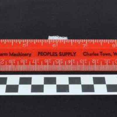 People's Supply ruler