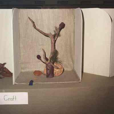 Jefferson County Fair photos 1973