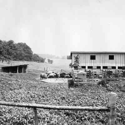 Gap View Farm Outbuildings