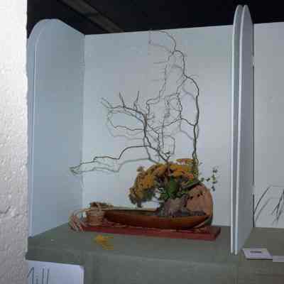 Jefferson County Fair photos 1973