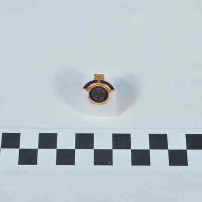 Small, gold-color lapel pin with blue enameling