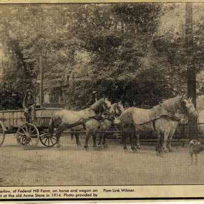 George Marlow on horse and wagon on George Street, 1914 (IMG3908029)