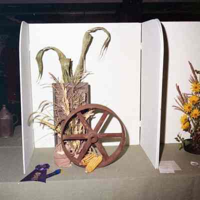 Jefferson County Fair photos 1973