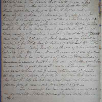 Ann Amelia Stephenson Beckham's diary (ARC270-3d)