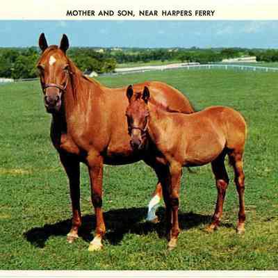 Mother and Son Near Harpers Ferry
