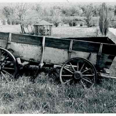 Wooden wagon outside on grass