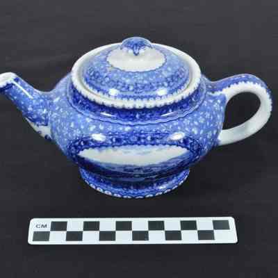 Commemorative blue and white china teapot with lid