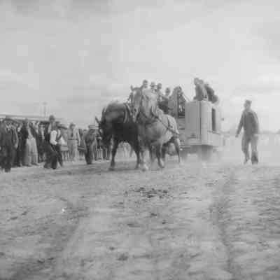 Horse pulling event in Jefferson County in the late 1930s
