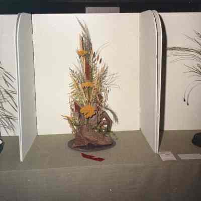 Jefferson County Fair photos 1973