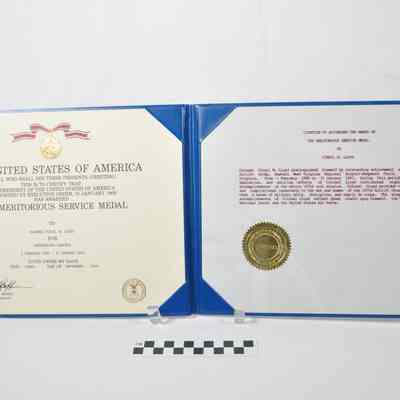 Meritorious Service Medal