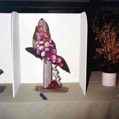 Jefferson County Fair photos 1973