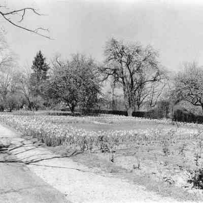 Claymont Court