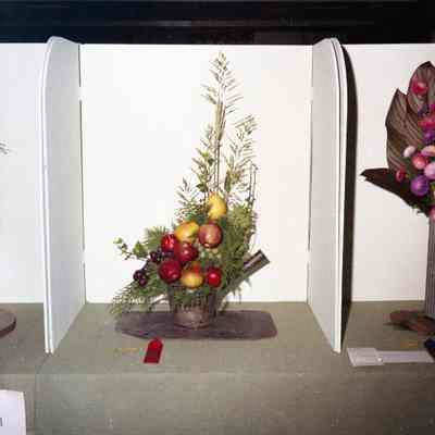 Jefferson County Fair photos 1973