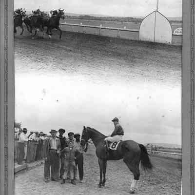"Bob Hi" at the Charles Town Race Track