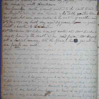 Ann Amelia Stephenson Beckham's diary (ARC270-3h)