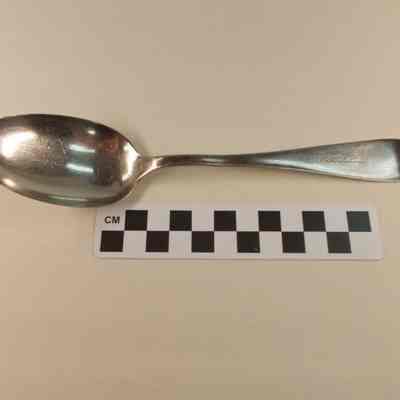 Silver plated spoon stamped Shannondale