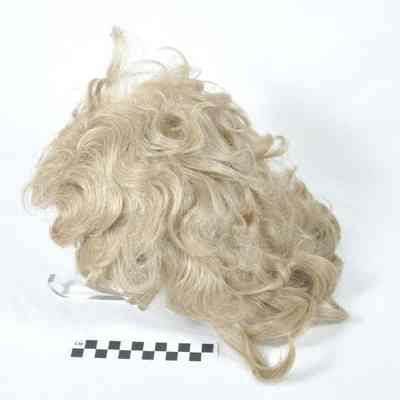Eight wigs