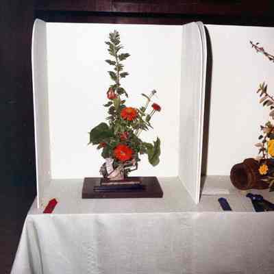 Jefferson County Fair photos 1973