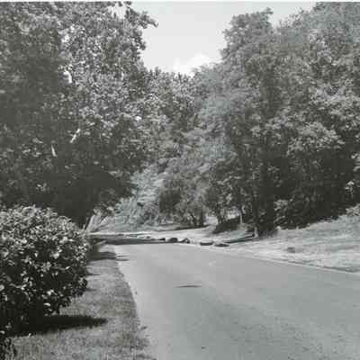 Shenandoah Street