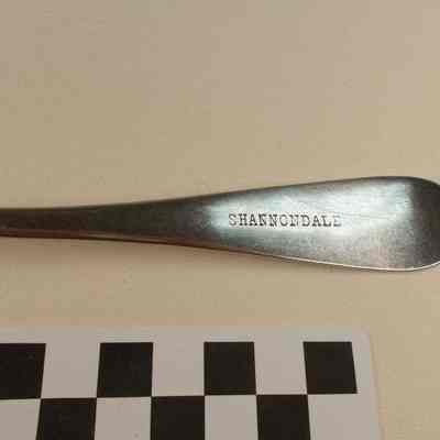 Silver plated spoon stamped Shannondale