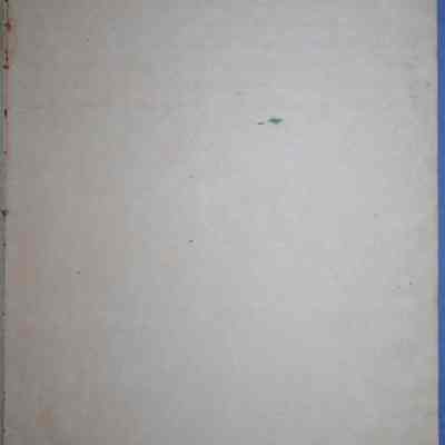 Ann Amelia Stephenson Beckham's diary (ARC270-3k)