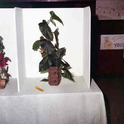 Jefferson County Fair photos 1973