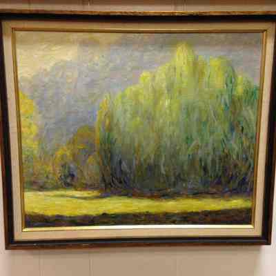 Willow tree along Evitts Run at Robinson's Flat on Old Cave Road