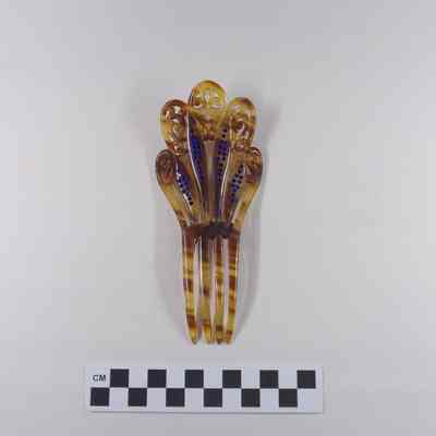 Tortoise shell comb