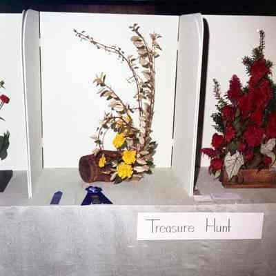 Jefferson County Fair photos 1973