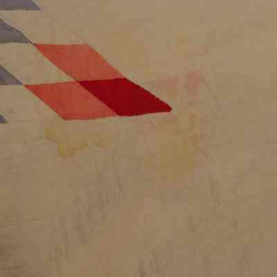2013.41.01 stain view