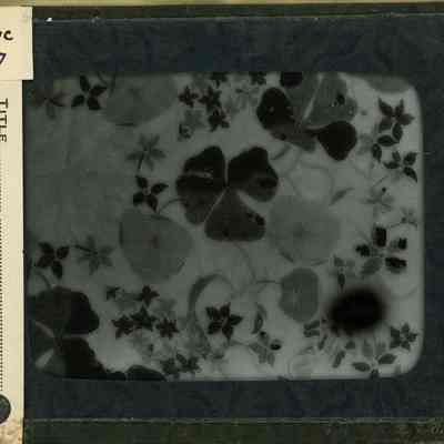 Origformat: Print-Photographic