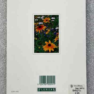 Greeting Card - Back View