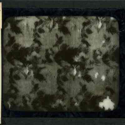 Glass-plate negative slide