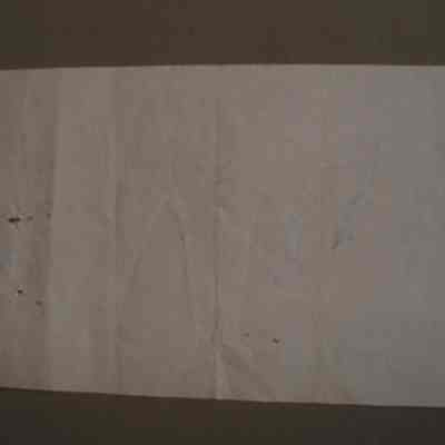 A. A. Hanna, V.S., D.V.M. Veterinarian receipt for Fulton Bros.