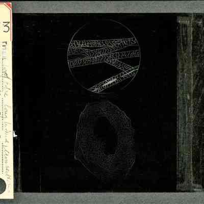 Origformat: Print-Photographic