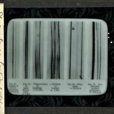 Glass-plate negative slide