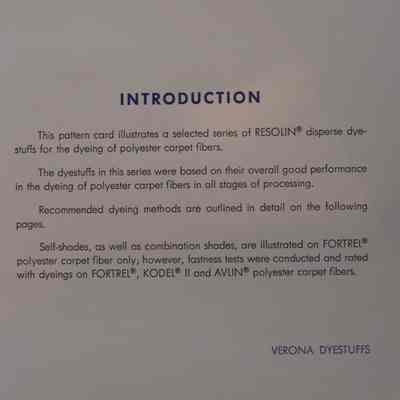Dyestuffs for polyester carpets / By Verona.