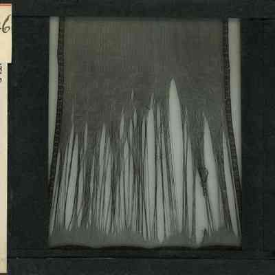 Origformat: Print-Photographic