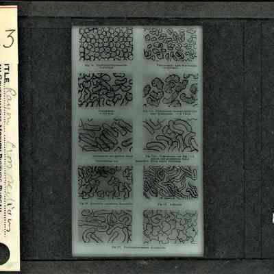 Origformat: Print-Photographic