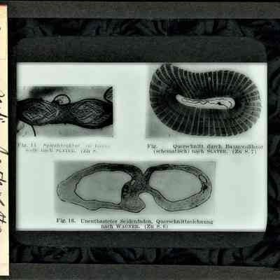 Glass-plate negative slide