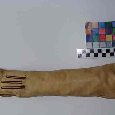 Glove