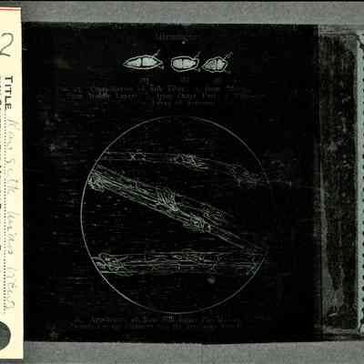 Glass-plate negative slide
