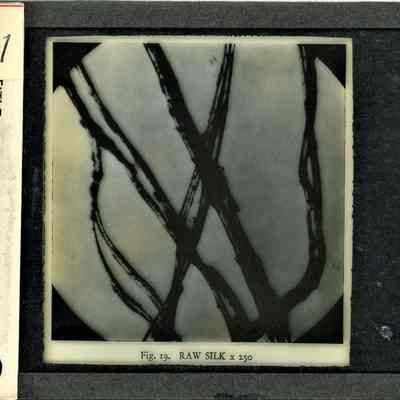 Origformat: Print-Photographic