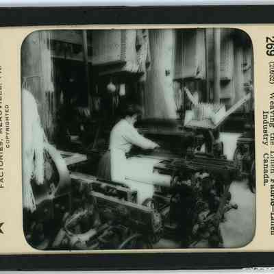 Glass Negative
