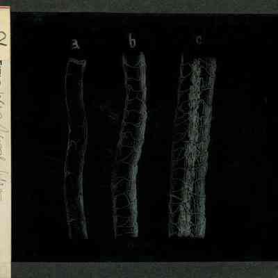 Origformat: Print-Photographic